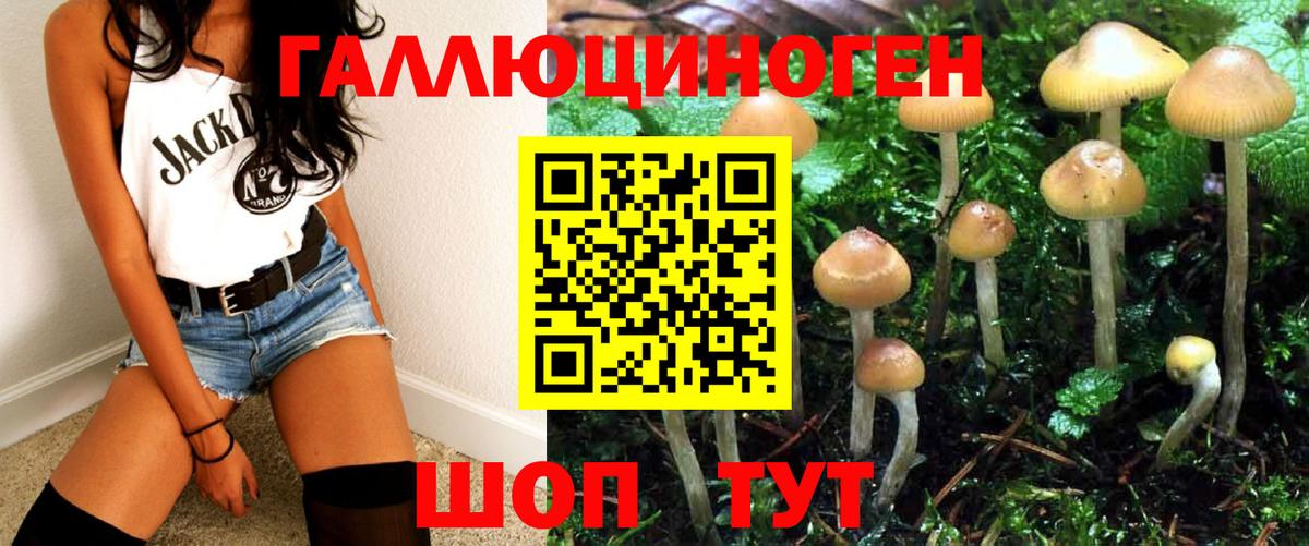 Псилоцибиновые грибы Psilocybine cubensis Похвистнево